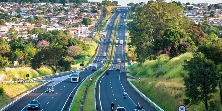Mudança na CNH: veja quais drogas o exame toxicológico pode detectar e quem pode ter carteira gratuita
