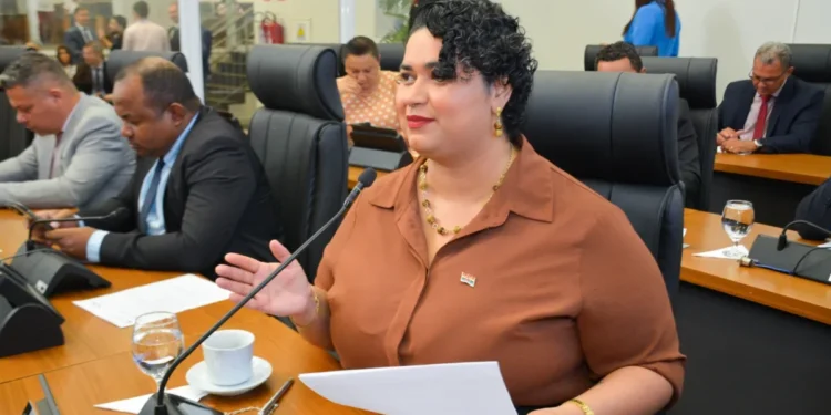 Coletivo SOMOS protocola PL que institui o Dia Municipal de Enfrentamento à Violência Doméstica e Familiar em Palmas