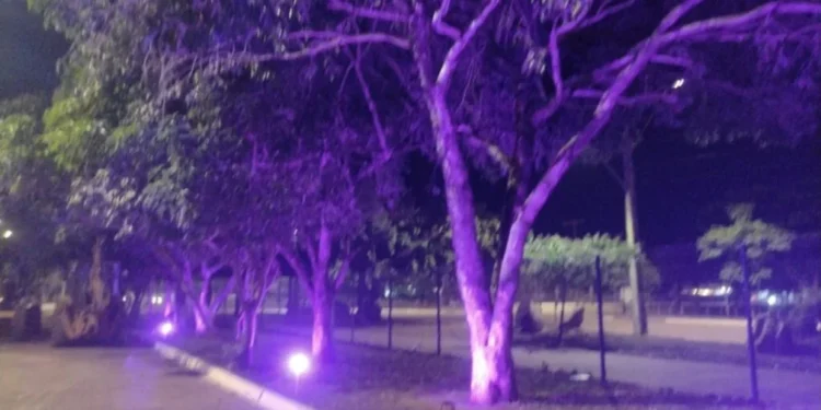 Prédios públicos da Capital recebem iluminação especial em apoio à campanha do mês de conscientização do lipedema