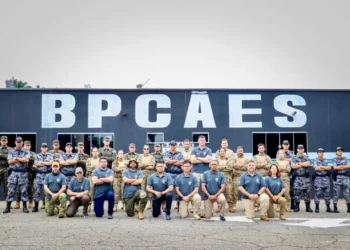 Cães de faro em ação: a PMTO participa da certificação nacional que visa aprimorar e padronizar o trabalho de cães e condutores no combate ao crime organizado. - Foto: ASCOM PMTO