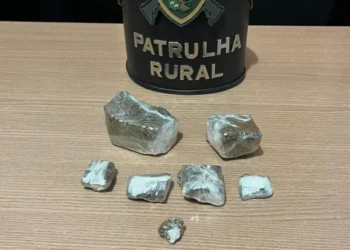 Material apreendido - Foto: Ascom 10º BPM