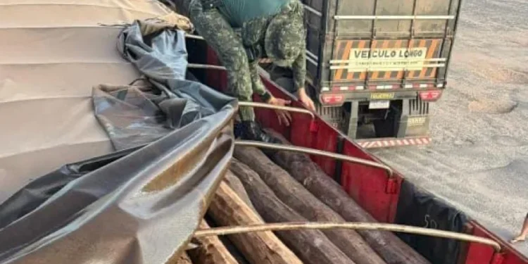 Carga de madeira apreendida durante ação da Polícia Militar Ambiental em Araguatins. - Foto: BPMA / Polícia Militar do Tocantins