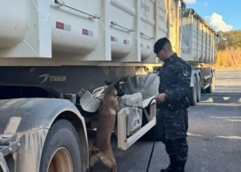 Uso do cão farejador em caminhões - Foto: Ascom 10º BPM