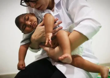 A partir de 2015, o Aedes passou a ser o transmissor de um vírus recém-chegado ao Brasil: o zika
crédito: Getty Images