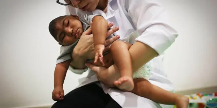 10 anos da epidemia de zika: como desnutrição, toxinas na água e agrotóxicos criaram ‘bolsões de microcefalia’ no Brasil