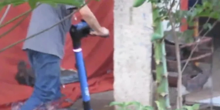 Patinete do Tráfico: Polícia desarticula esquema de venda de drogas no DF