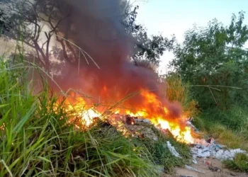 Queima de lixo em quintais incomoda moradores em Miracema