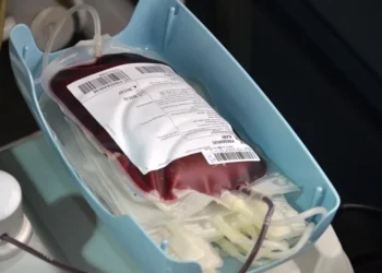 Em 2025, mobilizações serão realizadas para adquirir mais bolsas e doadores regulares