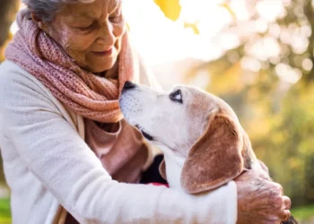 SEBEM realiza roda de conversa com idosos e jovens sobre políticas públicas voltadas à proteção e bem-estar animal – Foto: Arquivo