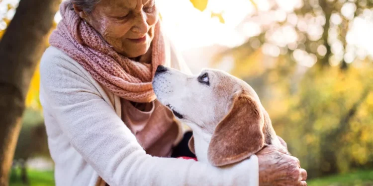 Prefeitura de Palmas promove encontro intergeracional entre jovens e idosos atendidos no Parque da Pessoa Idosa