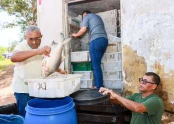 Foto: Francisco Barros