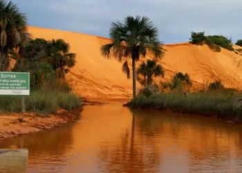Naturatins retoma visitação às Dunas do Parque Estadual Jalapão após operação de Manejo Integrado do Fogo