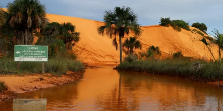 Naturatins retoma visitação às Dunas do Parque Estadual Jalapão após operação de Manejo Integrado do Fogo