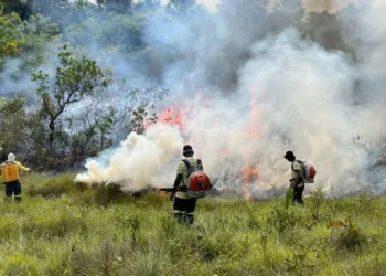 Naturatins realiza Manejo Integrado do Fogo no Parque Estadual do Jalapão e suspende temporariamente visitação às Dunas no dia 24 de junho