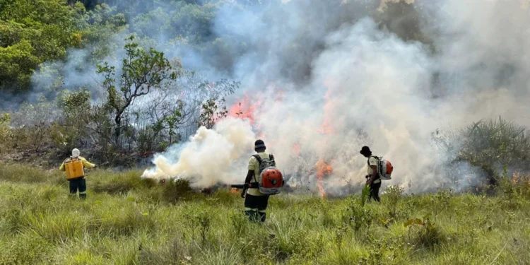 Naturatins realiza Manejo Integrado do Fogo no Parque Estadual do Jalapão e suspende temporariamente visitação às Dunas no dia 24 de junho