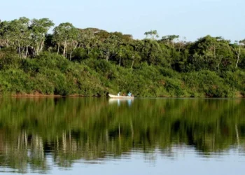 Programa do Governo do Tocantins de preservação ambiental e compensação por créditos de carbono desperta interesse do Maranhão, que assina termo de compromisso