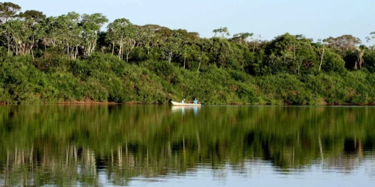 Programa do Governo do Tocantins de preservação ambiental e compensação por créditos de carbono desperta interesse do Maranhão, que assina termo de compromisso