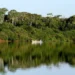 Programa do Governo do Tocantins de preservação ambiental e compensação por créditos de carbono desperta interesse do Maranhão, que assina termo de compromisso