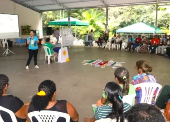 Organização Meteorológica Mundial alerta para aumento crítico da temperatura global: Tocantins é referência com o Programa Jurisdicional REDD+ na promoção da justiça climática