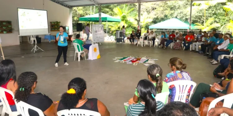 Organização Meteorológica Mundial alerta para aumento crítico da temperatura global: Tocantins é referência com o Programa Jurisdicional REDD+ na promoção da justiça climática