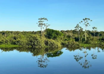 Naturatins divulga chamamento para audiência pública sobre revisão do Plano de Manejo da APA Ilha do Bananal/Cantão