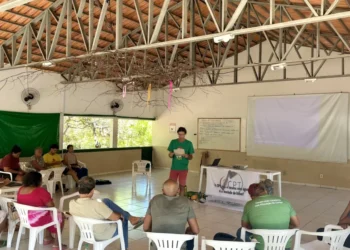 Oficina consolida proposta de Lei sobre Agroecologia e Produção Orgânica do Tocantins