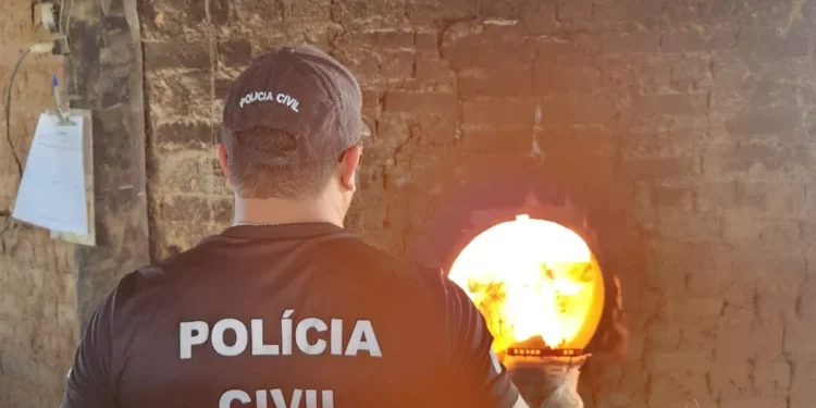 Operação Narke IV: Polícia Civil do Tocantins incinera 7 kg de entorpecentes no sudeste do Estado