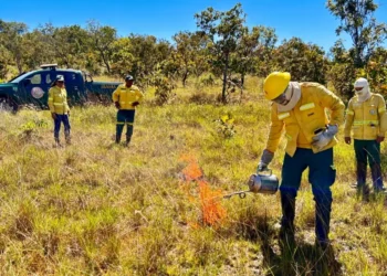 Brigada Gavião Fumaça do Naturatins aprimora práticas de Manejo Integrado do Fogo em intercâmbio com o Prevfogo do Ibama