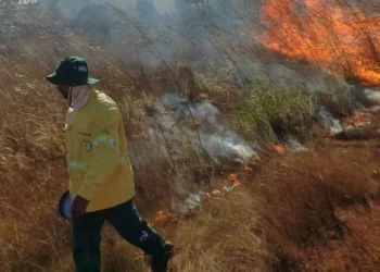 Naturatins realiza queima prescrita na região do Parque Estadual do Cantão