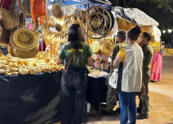 Naturatins orienta artesãos sobre comercialização do capim-dourado in natura