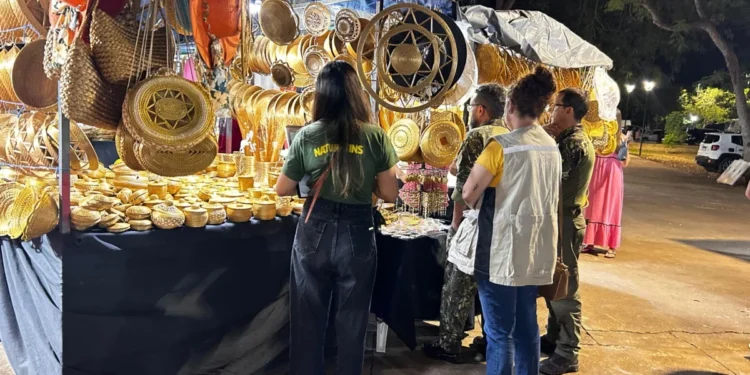 Naturatins orienta artesãos sobre comercialização do capim-dourado in natura