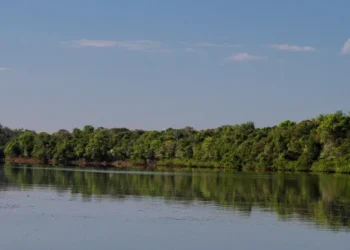 Naturatins divulga versão definitiva do plano que regula uso da água no Rio Formoso