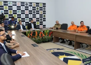 Operação resultou em números significativos no combate à violência contra crianças e adolescentes.