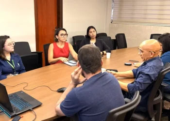 Governo do Tocantins avalia custos de implantação do aterro sanitário em reunião com o CIDS Vale do Rio Manuel Alves, Aura Minerals e PlêiadeAgro 
