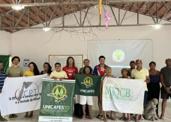 Oficina consolida proposta de Lei sobre Agroecologia e Produção Orgânica do Tocantins