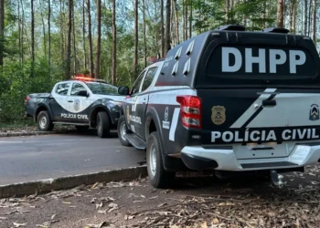 Jovem de 20 anos confessou o crime e foi detido após cumprimento de mandado de prisão preventiva - Luiz de Castro / Governo do Tocantins