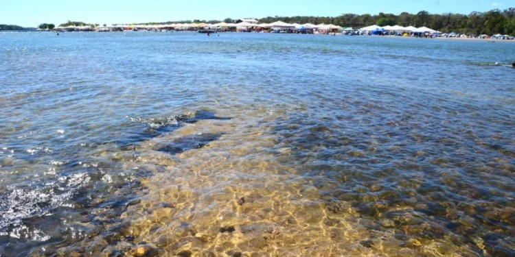 Sebrae leva capacitações a mais de 30 cidades para fortalecer negócios na temporada de praia