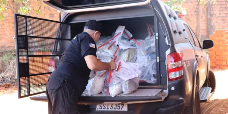 Polícia Civil do Tocantins incinera aproximadamente 200 kg de entorpecente em Palmas 