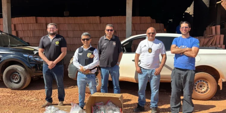 Polícia Civil incinera mais de 7 kg de entorpecentes apreendidos durante operações no interior do Tocantins