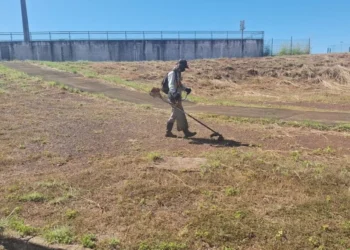 Zeladoria Urbana realiza serviços de paisagismo e limpeza na arena do 33º Arraiá da Capital