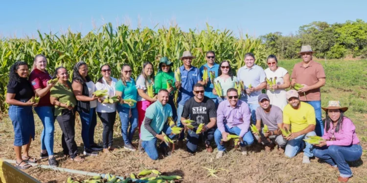Colheita na Fazendinha é doada para escolas municipais de Palmas