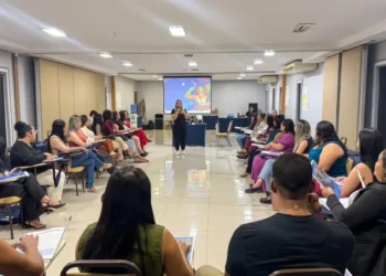 Governo do Tocantins promove Capacitação do Sistema de Benefícios do Cidadão aos municípios tocantinenses