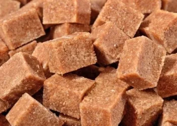 Festa da Rapadura 2025 celebra 11 anos de cultura e empreendedorismo no Jalapão