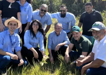 Governo do Tocantins entrega primeira etapa do maior projeto de recuperação de nascentes do estado com o ‘Plantando Água’ na Semana do Meio Ambiente