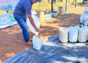 Governo do Tocantins e órgãos parceiros realizam ações do projeto de RI na Semana do Meio Ambiente