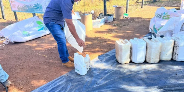 Governo do Tocantins e órgãos parceiros realizam ações do projeto de RI na Semana do Meio Ambiente