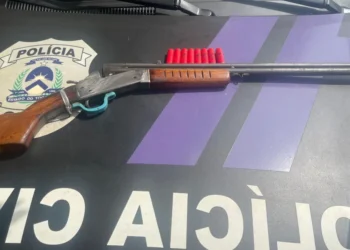 Arma de fogo e munições apreendidas pela Polícia Civil em Araguaína. Crédito - Foto -Polícia Civil do Tocantins