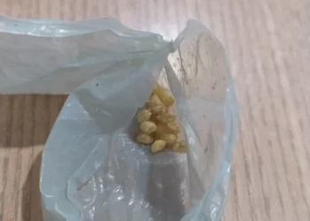 Porções de drogas apreendidas pela Polícia Civil com o suspeito - Foto: Polícia Civil do Tocantins