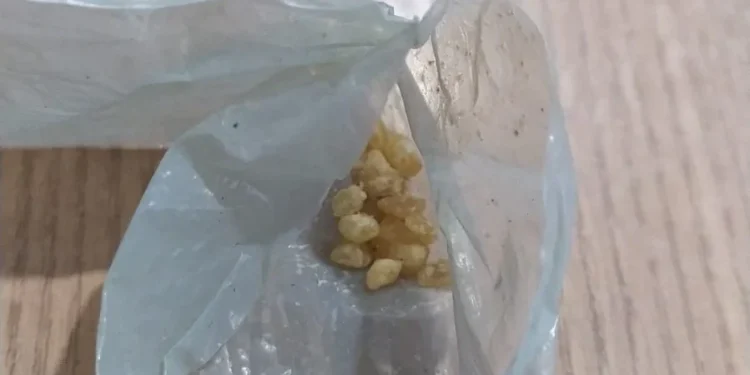 Em Paraíso do Tocantins, Polícia Civil prende homem por tráfico e apreende porções de drogas