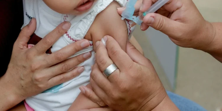 Foto: Divulgação Semus Palmas